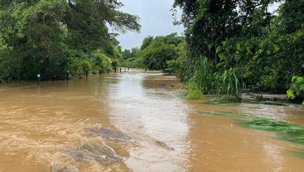 TALISMÃ EM ESTADO DE EMERGÊNCIA.