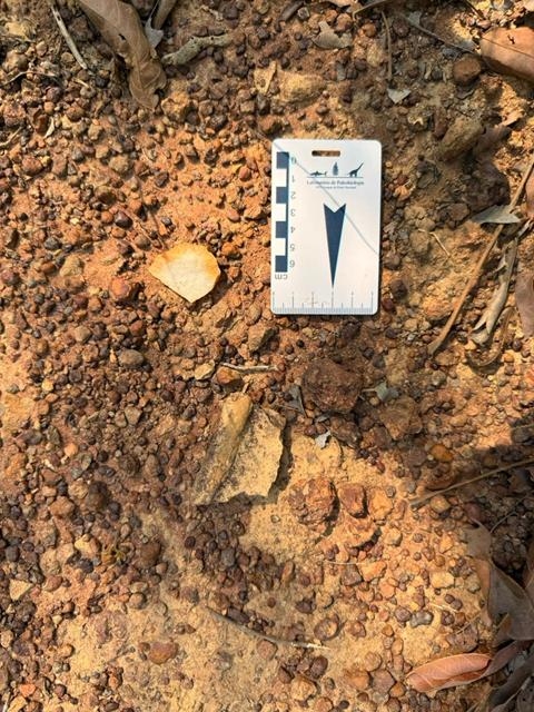 SÍTIO ARQUEOLÓGICO EM TALISMÃ É RECONHECIDO OFICIALMENTE